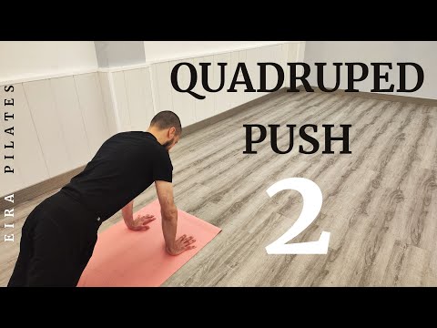Quadruped Push 2