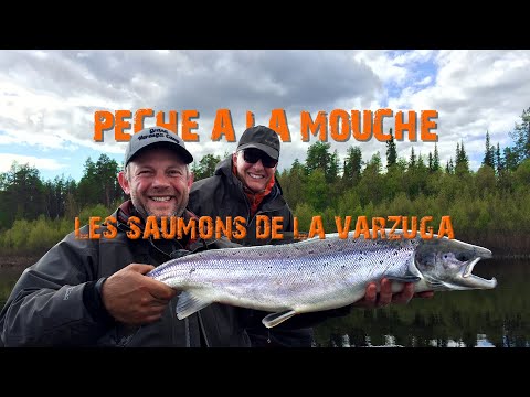 LES SAUMONS DE LA VARZUGA -RUSSIE