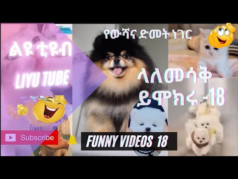 ላለመሳቅ ይሞክሩ 18, Funny video, home video 18 🤣🤣🤣🤣
