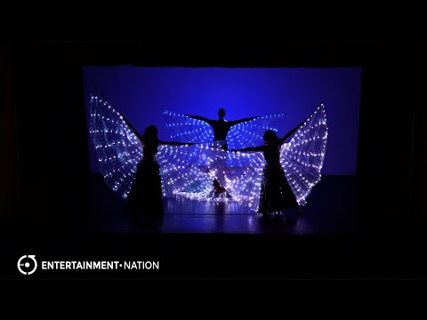 Belly Dancers Elite - LED Wings
