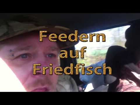 Feedern auf Friedfisch | Teil 1 | Schuppenkarpfen und Weissfisch