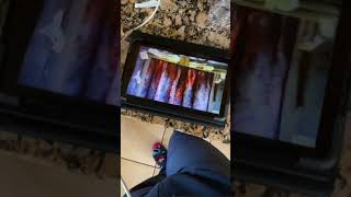 Sesame Street I Just Adore Four