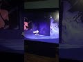 Closing To Pinocchio 1993 VHS