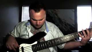Video thumbnail for D'Addario XL Chromes: five-string flatwound bass strings by Rumblin Man