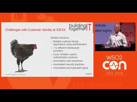 IDEXX Changing the Auth Engine In flight