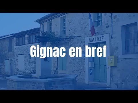 Video vignette