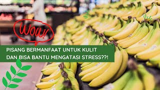 Download lagu Beragam Khasiat Buah Pisang yang Mengejutkan! mp3 Download lagu Beragam Khasiat Buah Pisang yang Mengejutkan! mp3