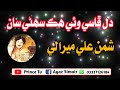 Best Sindhi Song Dil Faasi Wai Hik Sunhny Saan SingerBy Shamanmeerali Princetv Sindhisong