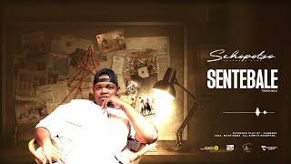 Download lagu 02: Sannere - Sentebale mp3