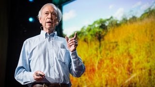 How to green the world’s deserts and reverse climate change | Allan Savory