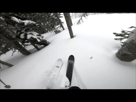 Line Sakana Skis In Powder