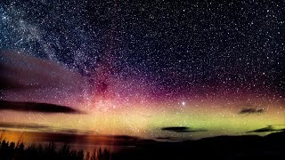 Fanfarlo - Life in the Sky