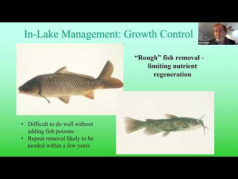 Methods of Algae Control (Part 4) - In-Lake Management: Internal phosphorus control