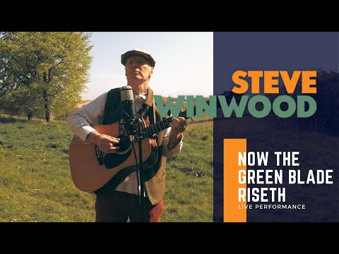 Steve Winwood - "Now The Green Blade Riseth" (2020)