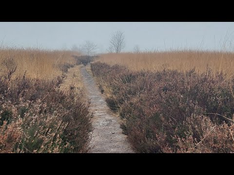 pieterpad etappe 4 - zuidlaren naar rolde