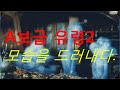 A보급 유령 출현