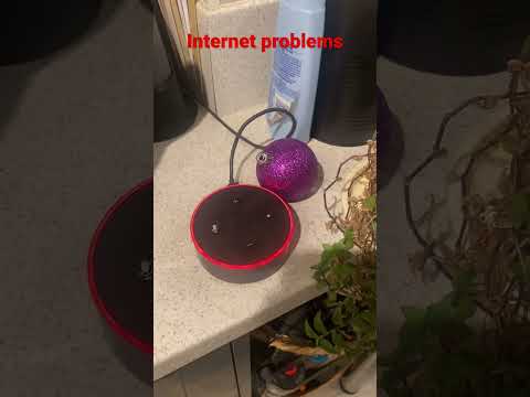 米国では、Alexa はファーストネームとして「終わった」