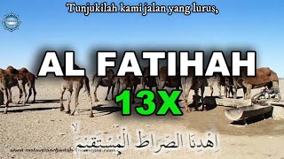 Download lagu 001 AL FATIHAH 13x oleh  Muhammad Taha Al Junaid dengan Video Hewan mp3