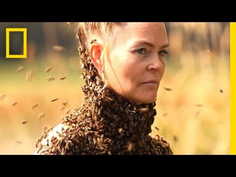 , title : 'She Dances With 10,000 Bees on Her Body | National Geographic'