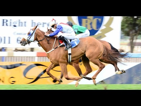 NO WORRIES - Joburg Spring Challenge (Grade 2) 2014