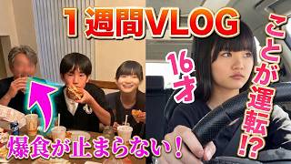 【衝撃】ことが運転って!?日本から戻ったパパ食欲暴走で体重急上昇！うちの一週間VLOG