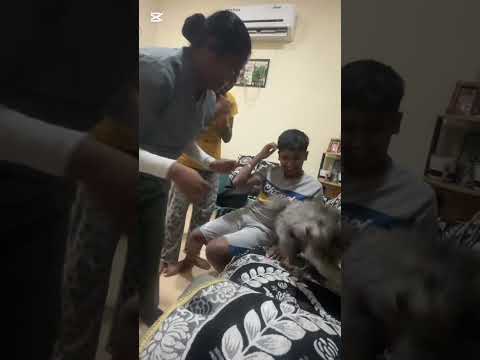 Judy 😍🥰#love #dog #doglove #pets #petlover