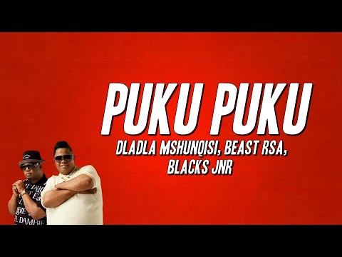 Dladla Mshunqisi, Beast Rsa, Blacks Jnr - Puku Puku (Lyrics)