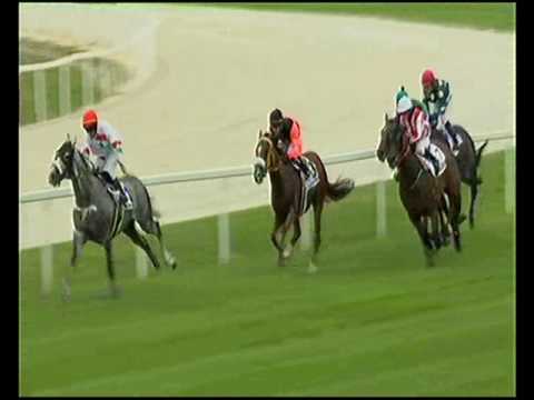 Jockey Nicola Pinna in Hungary