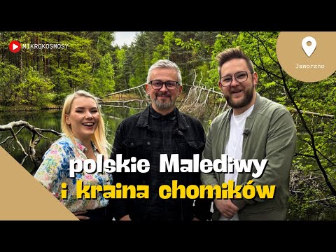 Jaworzno: polskie Malediwy, stara cementownia i chomik europejski | MIKROKOSMOSY #44