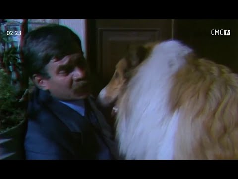 Boris Dvornik - Laku noć, Luigi, laku noć, Bepina (1986)