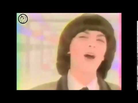 Mireille Mathieu et Patrick Duffy  - Together we're strong