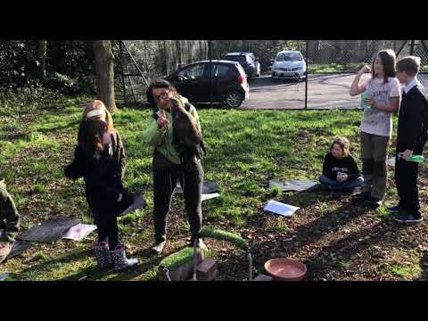 Spring 2019 - Buzz (the wild rescue Common Buzzard) visits Rocks Park Primary School