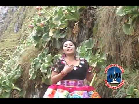 Haydee Pizarro - Yo tengo 7 vidas Nuevo tema La voz noble del Perú PRIMICIAS 2013
