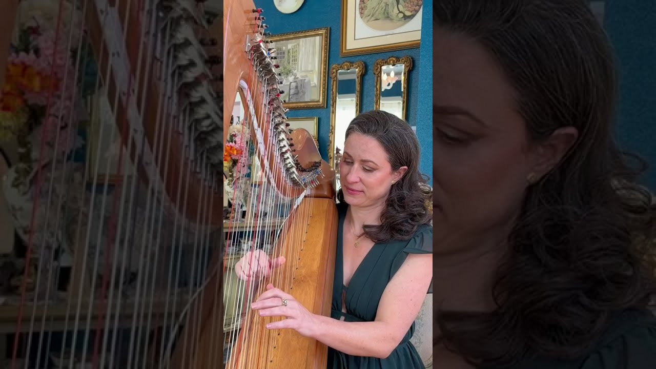 Promotional video thumbnail 1 for AureliHarp