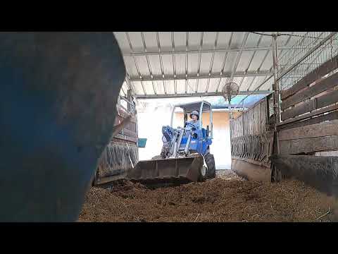 We A De Rasta - Shekel ft. Nechi Nech