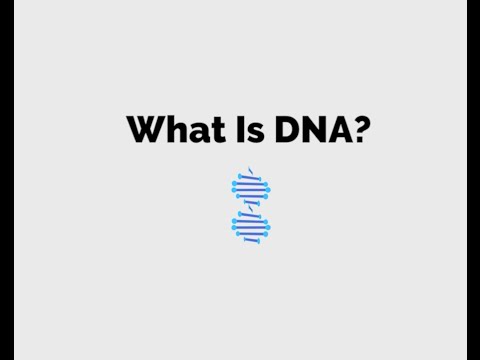 Fantastic DNA! extraction steps