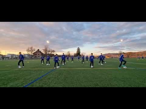 FC Luzern Nord FE-14 (U-14) Techniktraining - Coerver Level 1
