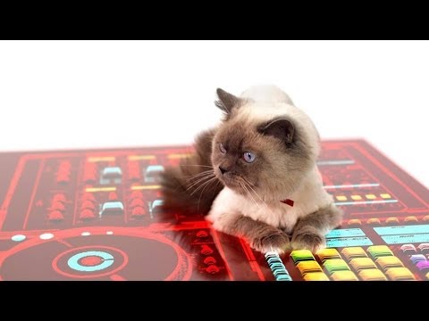 ERUPT - Art of Beatmaking [Official Video]