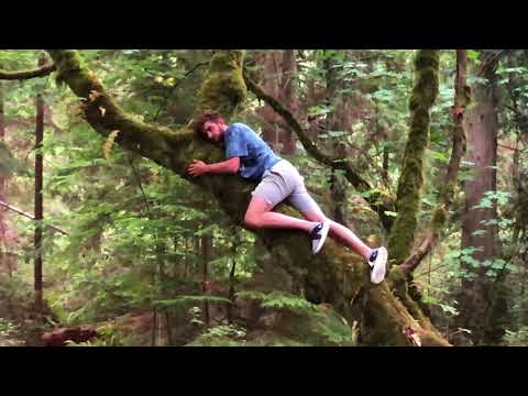 Caden Najdawi - Survivor