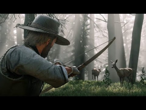 Red Dead Redemption 2 - LET'S PLAY N°2 #5