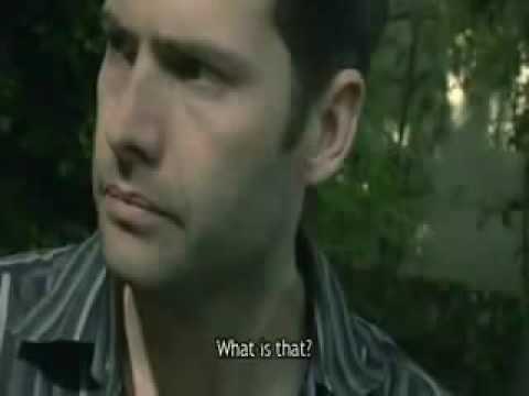 A touching story of an old father, son and a sparrow