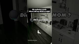 Download lagu My bird accidentally woke my mom up through Alexa #cockatoo #jackson mp3