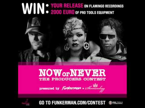 Funkerman & Shermanology - Now or Never (original mix)