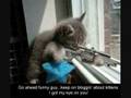 FUnnY CRaP AMZINGNESS