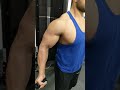 Low pulley bicep curl