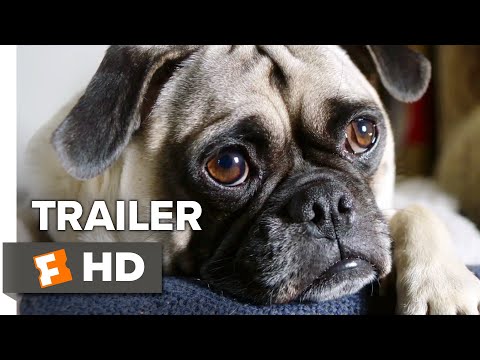 Dog Days (2018)  Teaser