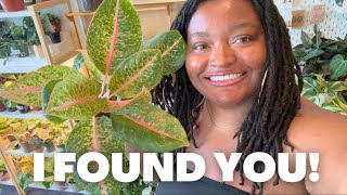 Fun Plant Shopping at Two Local Nurseries!