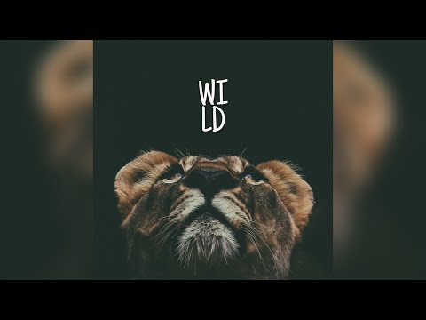 David Guetta x Martin Garrix Type Beat - WILD | Afrojack | EDM TYPE BEAT 2020 | Prod. Dan Zoran