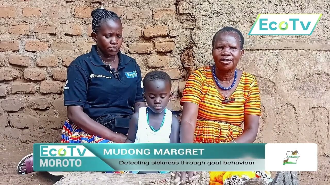 Detecting Sickness Through Goat Behaviour with Mudong Margret