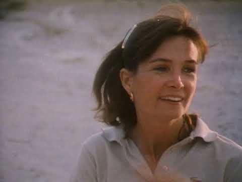 Documentary  National Geographic  African Odyssey